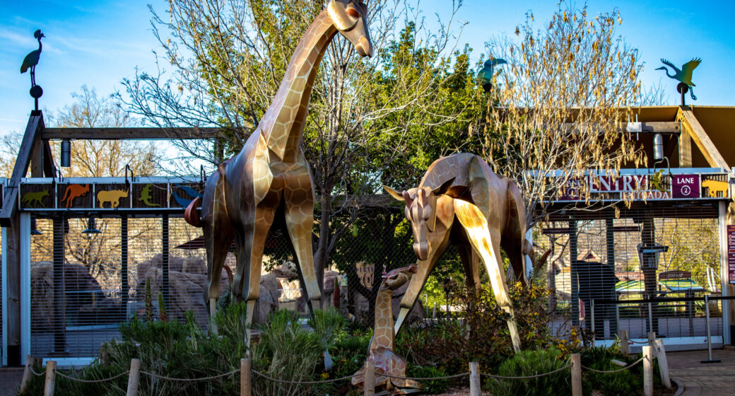 Giraffe Sculptures at the Denver Zoo